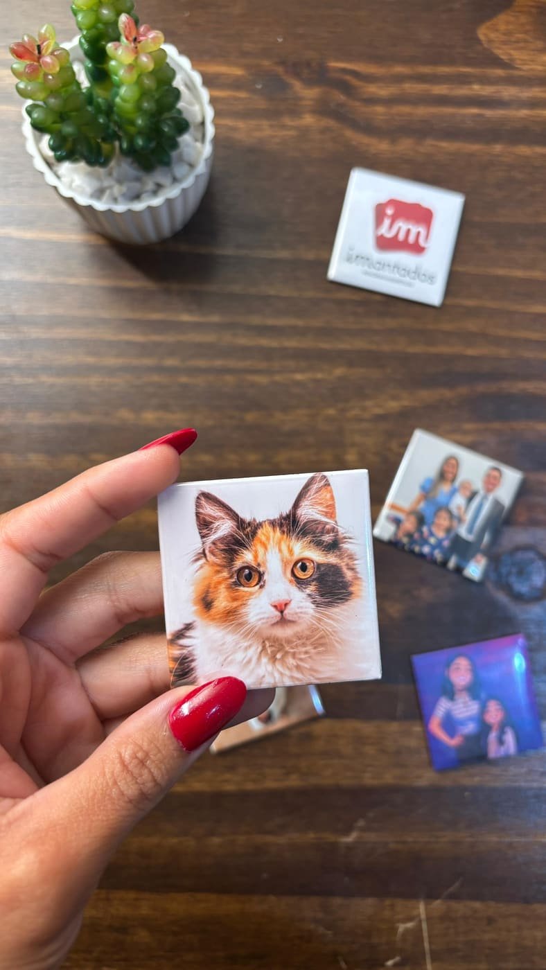 Imã com foto de gato na mão